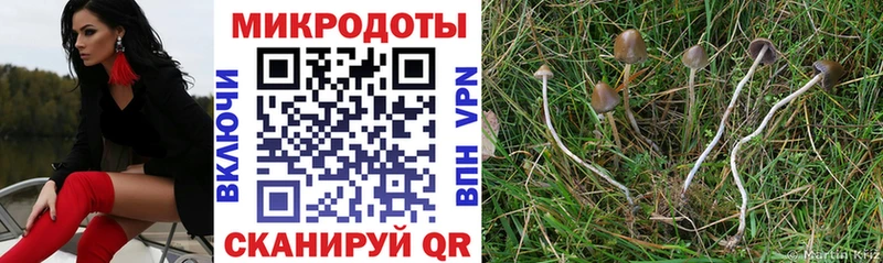 Купить  Обь  Галлюциногенные грибы Magic Shrooms 